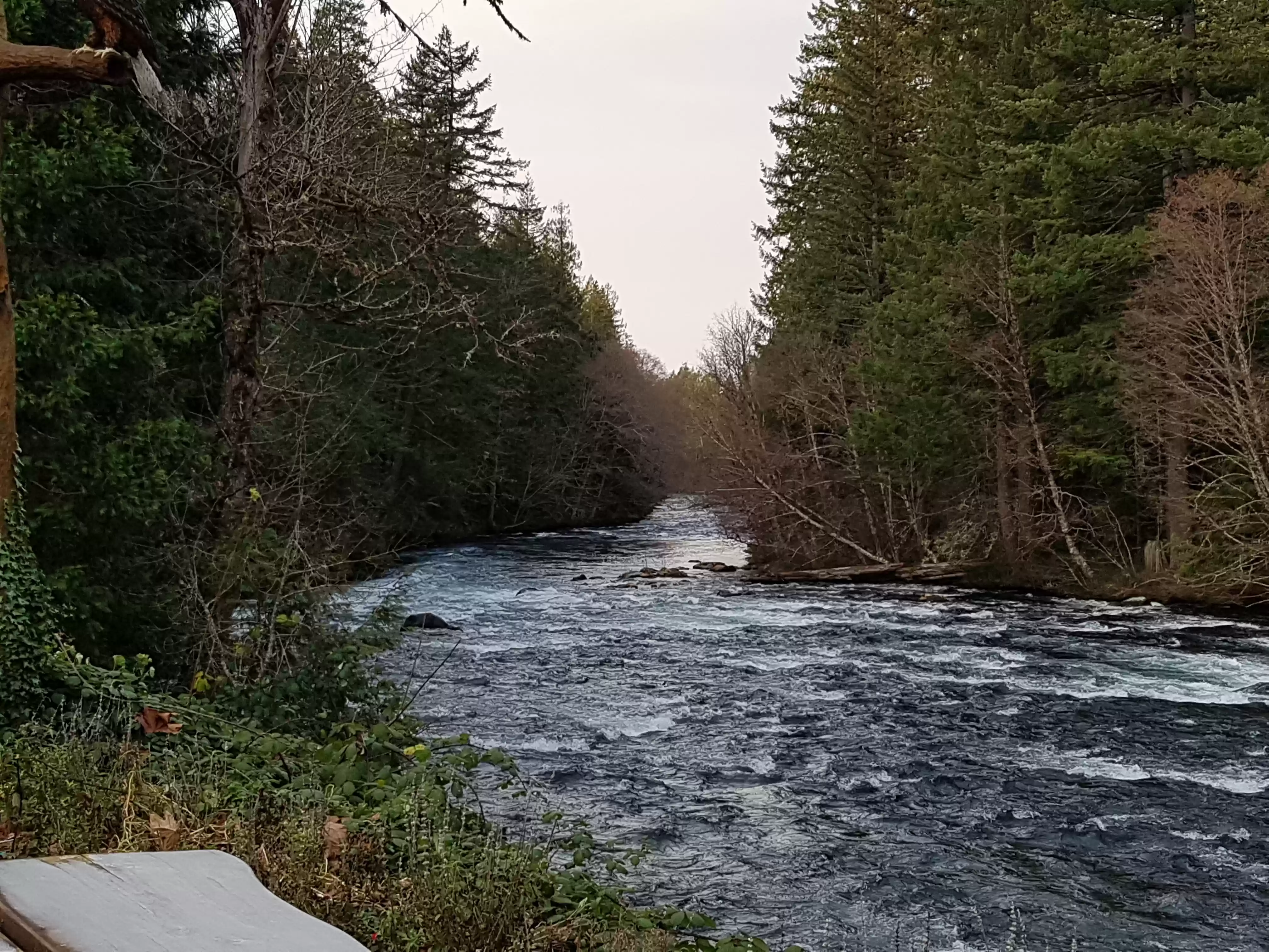 20171212_102555